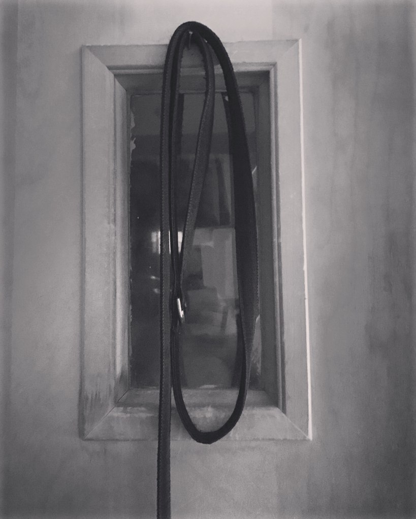 Suburban Woods Thumbnail