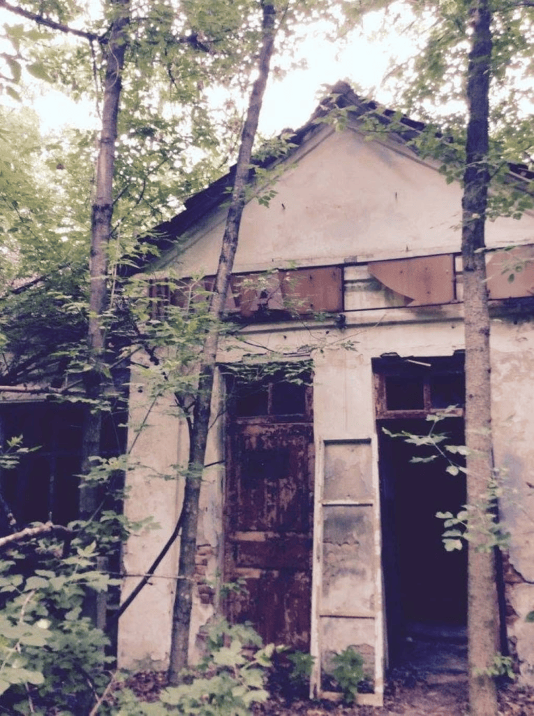 An abandoned building surrounded by trees, featuring peeling paint and partially covered windows, with a ladder leaning against the wall.
